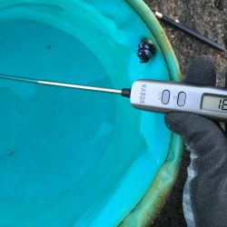 エソしかいません